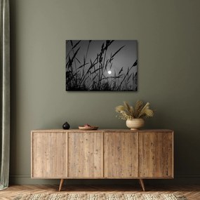 Obraz - Lúka so západom slnka (70x50 cm)