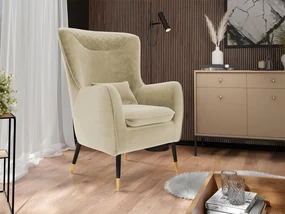 Čalúnené kreslo Arisean, Dostupné poťahy: Magic Velvet 2219
