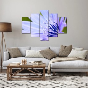 Obraz - kvet (150x105 cm)