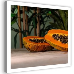 Obraz na plátně Ovocné listy papáji Příroda - 50x50 cm