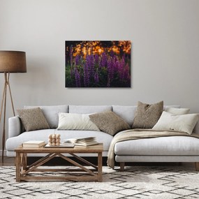 Sklenený obraz kvetov vlčieho bôbu (70x50 cm)