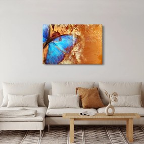 Obraz - Modrý motýľ (90x60 cm)