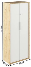 Skiňa so zámkom, dub artisan/biela, RIOMA TYP 31