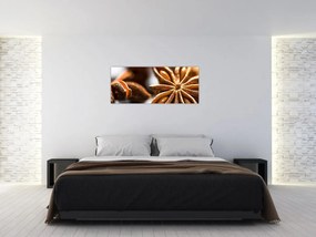 Obraz - Aníz (120x50 cm)