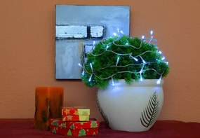 Nexos 2138 Vianočné LED osvetlenie 10m s časovým spínačom - studeno biele, 100 diód