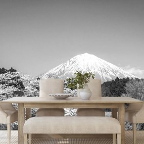 Fototapeta hora Fuji v čiernobielom
