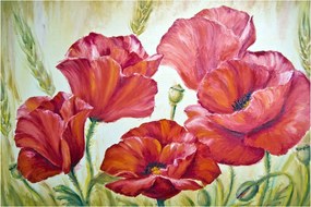 Obraz - Kvety vlčích makov (90x60 cm)