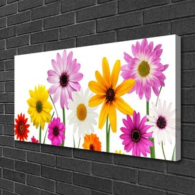 Obraz Canvas Farebné kvety príroda 140x70 cm