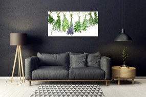 Skleneny obraz Plátky kvety byliny 125x50 cm