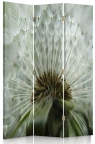 Gario Paraván Krásna púpava Rozmery: 110 x 170 cm, Prevedenie: Otočný paraván 360°