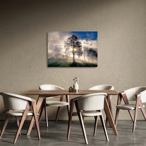 Sklenený obraz stromu v hmle (70x50 cm)