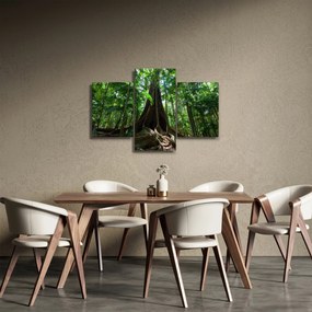 Obraz - Korene stromu (90x60 cm)