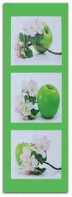 Obraz na plátně Jablko plod Zelený květ - 30x90 cm