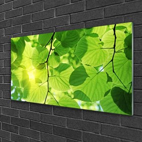 Skleneny obraz Listy príroda rastlina 100x50 cm