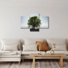 Obraz - Osamotený strom (90x60 cm)