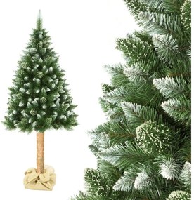 Vianočný stromček na kmeni 180 cm borovica