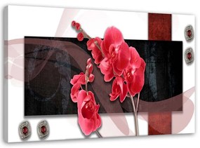 Obraz na plátně Červená orchidej - 100x70 cm