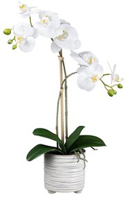 Gasper Umelý kvet Orchidea v keramickom kvetináči, biela, 50 cm
