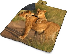 Sablio Plážová deka Levíčatá: 200x140 cm