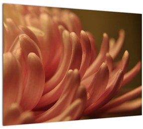 Sklenený obraz detailu kvety (70x50 cm)