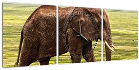 Obraz slona (s hodinami) (90x30 cm)
