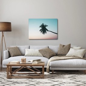 Obraz - Palma na Bali (70x50 cm)