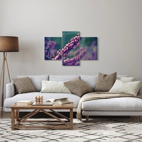 Obraz levandule (90x60 cm)