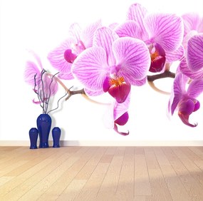 Fototapeta Vliesová Ružová orchidea 104x70 cm