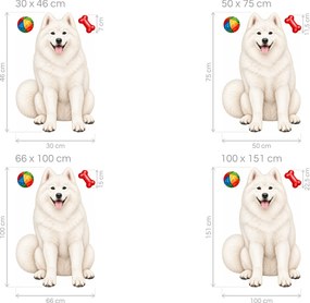 Samojed s loptičkou a kosťou realistické textilné nálepky na stenu pre milovníkov samojedov hárok 30 x 46 cm