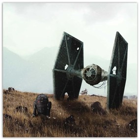 Gario Obraz na plátne Star Wars, droid a vesmírna loď - Zehem Chong Rozmery: 50 x 50 cm