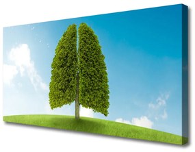 Obraz Canvas Tráva strom pľúca príroda 140x70 cm