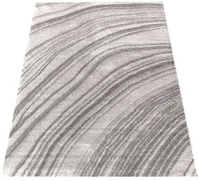 Koberec Serenity v sivej farbe s abstraktným vzorom Šírka: 120 cm | Dĺžka: 170 cm