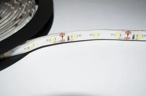 ECOLIGHT LED pásik - SMD 2835 - 5m - 60LED/m - 4,8 W/m - IP65 - modrý
