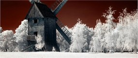 Obraz mlyna (120x50 cm)