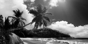 Obraz nádherná pláž na ostrove Seychely v čiernobielom prevedení Varianta: 120x60