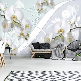 Fototapeta - Orchidea (254x184 cm)