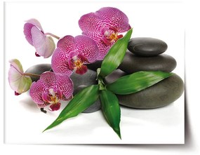 Sablio Plagát Orchidea a kamene - 60x40 cm