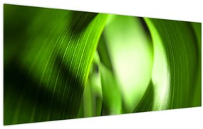 Obraz - Steblo trávy (120x50 cm)