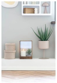 Umelá rastlina (výška 51 cm) Aloe Vera – House Nordic