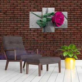 Obraz - Ružová ruža so zelenou stonkou (90x60 cm)