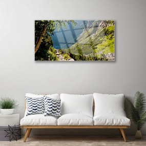 Skleneny obraz Hora les príroda 120x60 cm