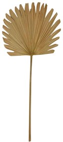 Hnedý usušený guľatý dekoratívne list Palmy - 70 cm