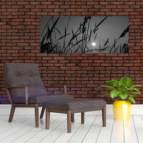 Obraz - Lúka so západom slnka (120x50 cm)