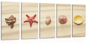 5-dielny obraz mušle na piesočnatej pláži - 100x50