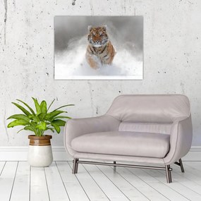 Sklenený obraz bežiaceho tigra v snehu (70x50 cm)