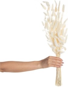 Kytica fúkačiek 60cm cream