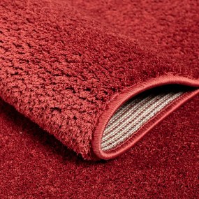 Dekorstudio Koberec s dlhým vlasom SOFTSHINE červený Rozmer koberca: 160x220cm