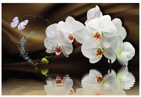Samolepiaca tapeta orchidea a motýľ