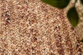 ANDRE 1017 umývací koberec Vrkoč, protišmykový - béžová Veľkosť: 80x150 cm