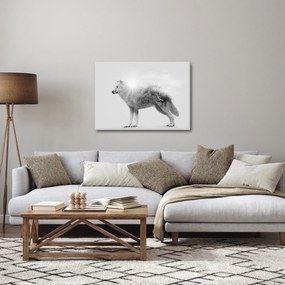 Obraz - Arktický vlk zrkadliaci divokú krajinu, čiernobiely (70x50 cm)